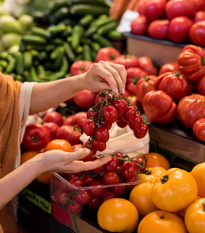 Food export services from India