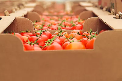 Food export services from India